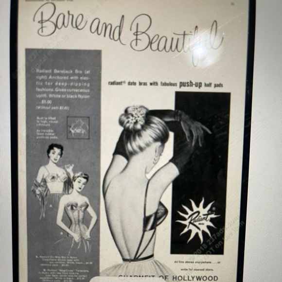 Charmfit's Black Lace Push Up Pads Bra 32B 1956 - Picture 15 of 15